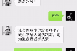 白城白城讨债公司服务